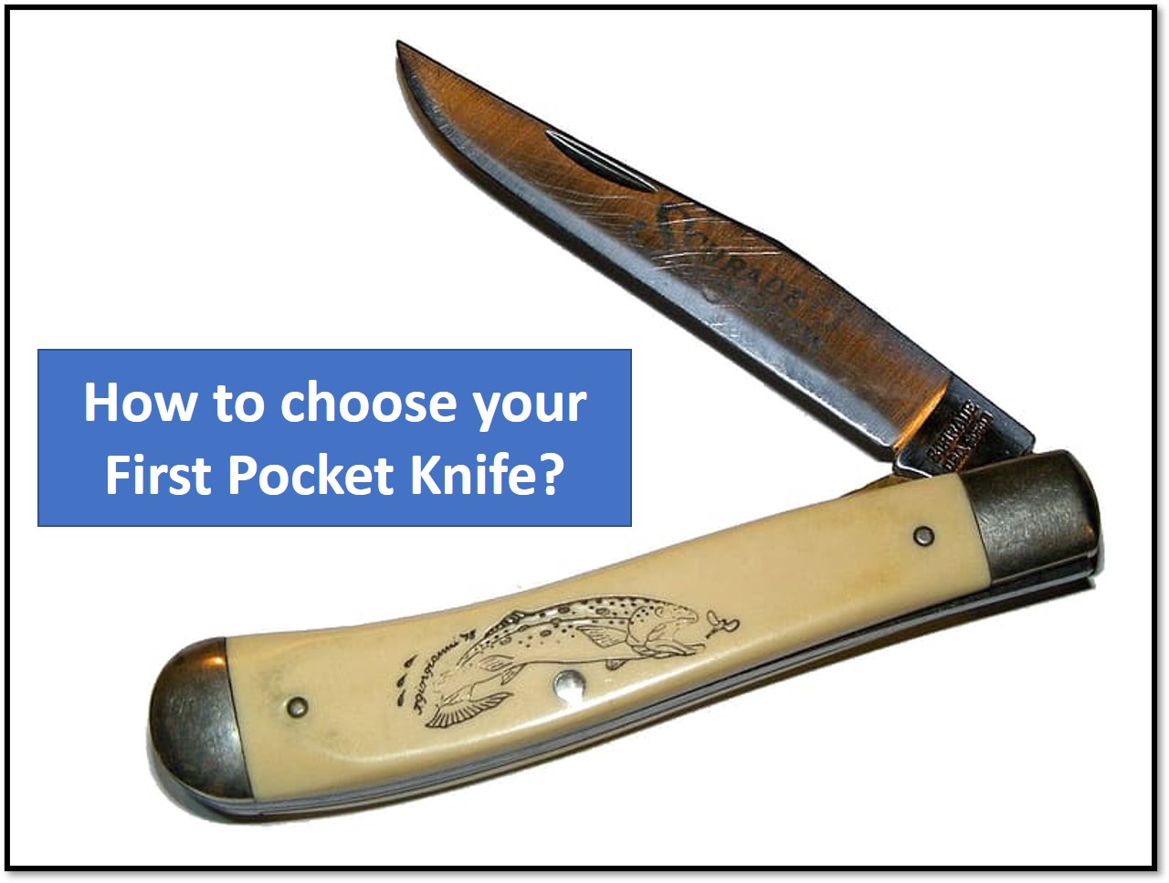 How To Choose Your First Pocket Knife