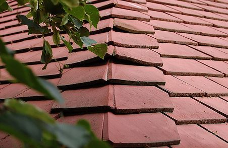 Four Important Tips for Taking Care of Your Roof