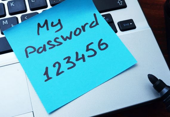 What is a Team Password Manager? Everything You Need to Know