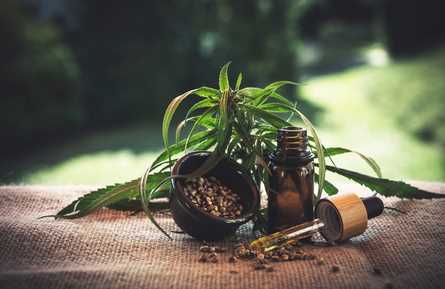 4 Tips on Choosing Online CBD Oil Stores for New Users
