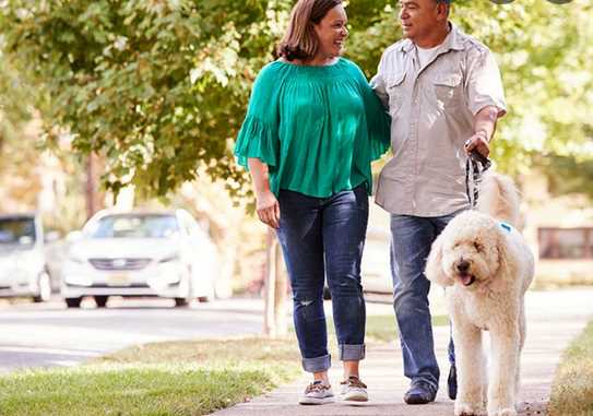 Old Dog, New Tricks: 5 Hobbies to Consider After Retirement