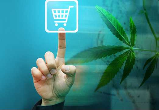 Factors To Consider When Buying Weed Online
