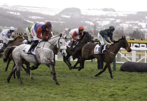 A look at last year's Cheltenham Gold Cup