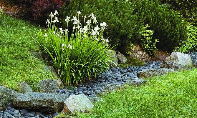 10 Best Features to Help with Water Runoff and How to Control It