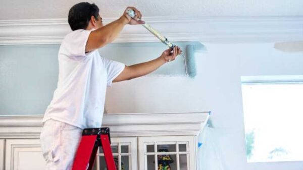 Practical Reasons to Get Your House Painted