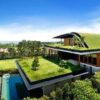 The benefits of green roofs for your home