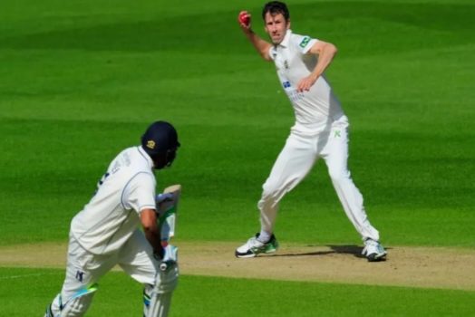 What is throwing in cricket?