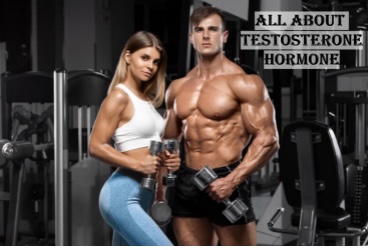 Testosterone Guide
