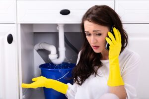 Common Plumbing Issues in a House