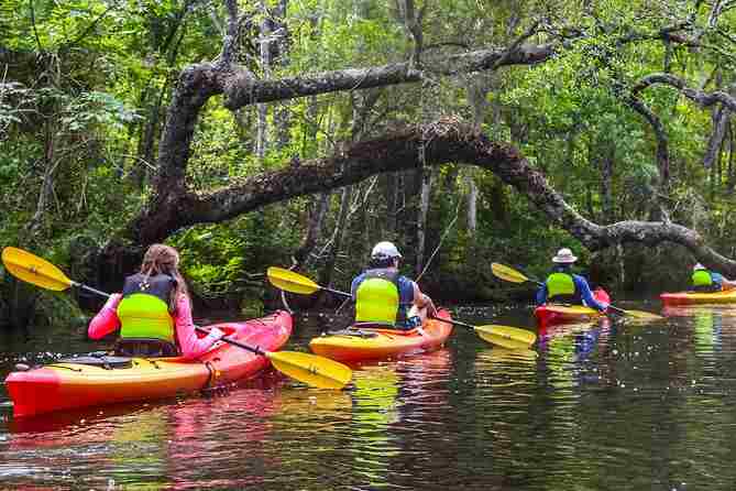 Explore the Water: Easy Kayak Rentals in Charleston SC