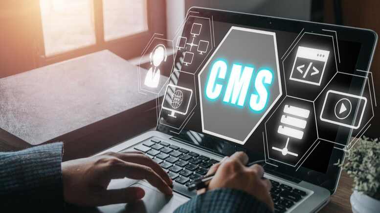 How Headless CMS Enhances the Omnichannel Experience for Retail Brands