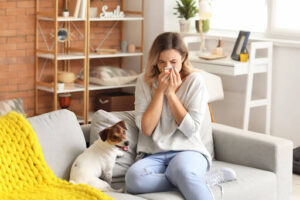 Signs Your Home’s Air Quality Is Worse Than You Think