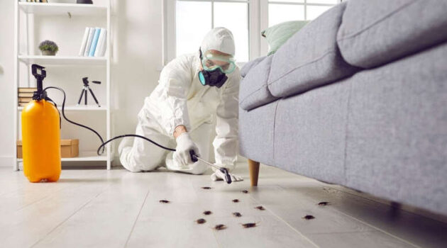 How Pest Control Companies Can Turn One-Time Treatments Into Recurring Revenue