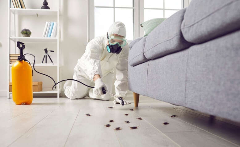 How Pest Control Companies Can Turn One-Time Treatments Into Recurring Revenue